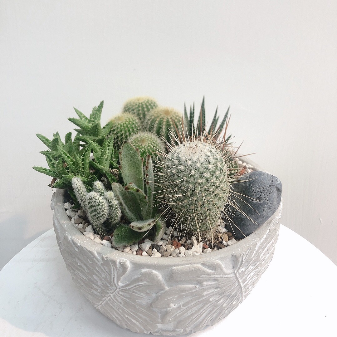 自我療癒系列_210908_3